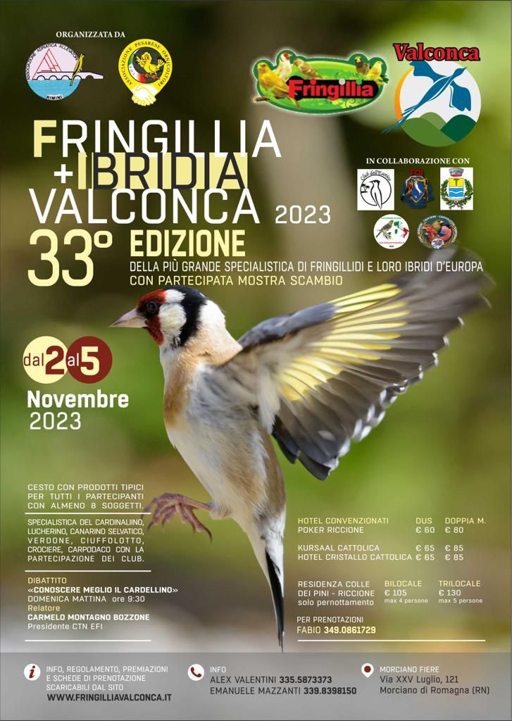 Fringillia Ibridia Valconca 2023 33 edizione Mostra Scambio